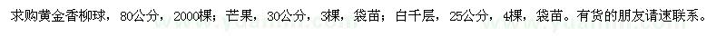 求購黃金香柳球,芒果,白千層