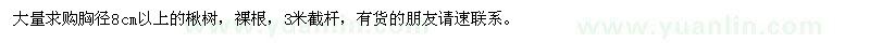 求購(gòu)胸徑8cm以上的楸樹