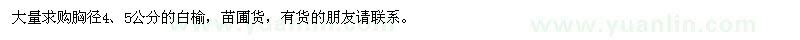 求購胸徑4,5公分的白榆
