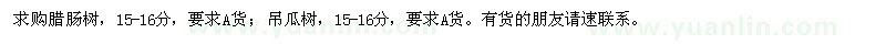 求購臘腸樹,吊瓜樹