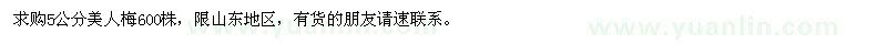 求購5公分美人梅