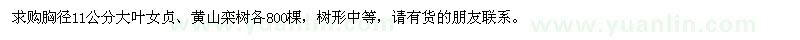 求購胸徑11公分大葉女貞、黃山欒樹