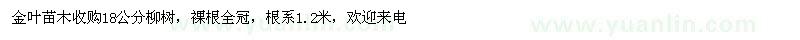 求購18公分柳樹