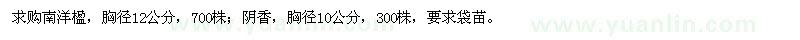 求購南洋楹,陰香