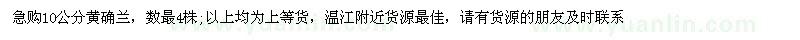 求購急購10公分黃確蘭