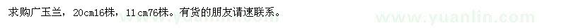 求購(gòu)廣玉蘭