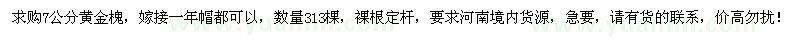 求購(gòu)7公分黃金槐313棵