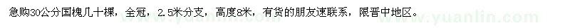 求購30公分國槐