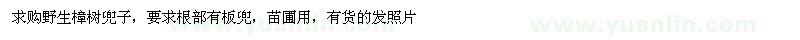 求購野生樟樹兜子