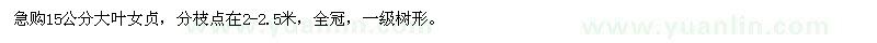 求購15公分大葉女貞