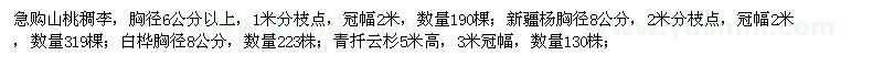 求購山桃稠李,新疆楊,白樺,青扦云杉
