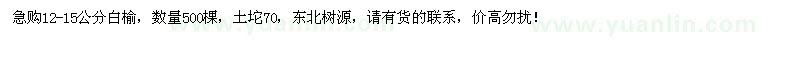 求購12-15公分白榆500棵