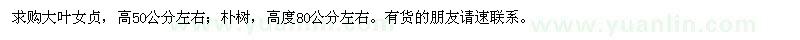 求購(gòu)大葉女貞,樸樹