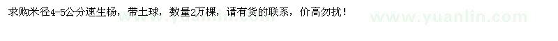 求購米徑4-5公分速生楊2萬棵