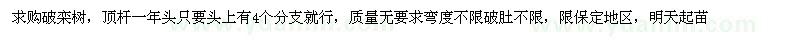 求購破欒樹頂桿一年頭只要頭上有4個分支就行，質(zhì)量無要求