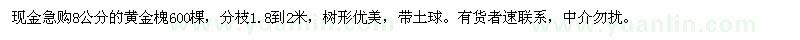 求購8公分的黃金槐