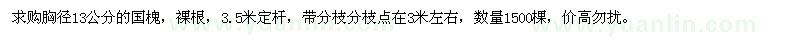 求購胸徑13公分的國槐