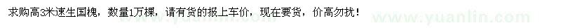 求購高3米速生國槐1萬棵