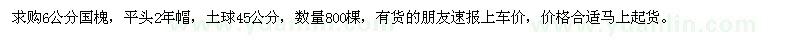 求購6公分國槐