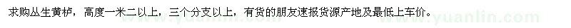 求購叢生黃櫨