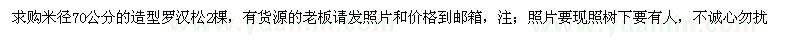 求購米徑70公分的造型羅漢松