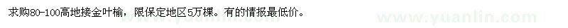 求購(gòu)80-100高地接金葉榆