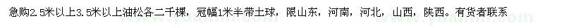 求購(gòu)2.5米以上3.5米以上油松
