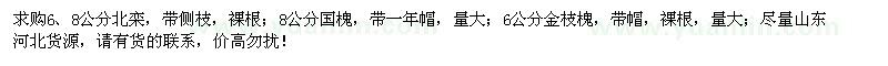 求購6、8公分北欒、8公分國槐、6公分金枝槐