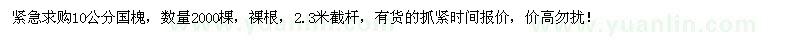 求購10公分國(guó)槐2000棵