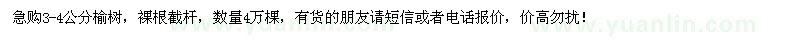 求購3-4公分榆樹4萬棵