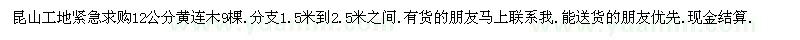 求購黃連木