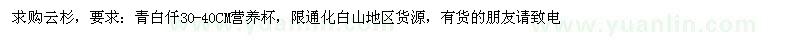 求購云杉小苗