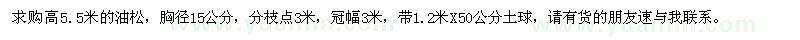 求購高5.5米油松
