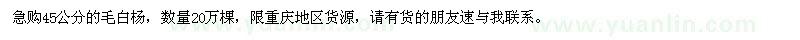 求購45公分的毛白楊