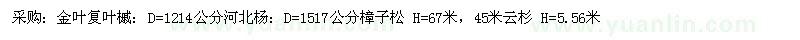 求購(gòu)金葉復(fù)葉槭、河北楊、樟子松、云杉