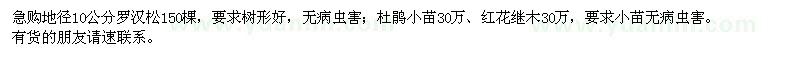 求購(gòu)地徑10公分羅漢松,杜鵑,紅花繼木
