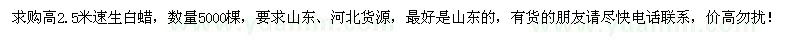 求購(gòu)高2.5米速生白蠟5000棵