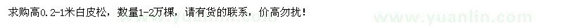 求購高0.2-1米白皮松1-2萬棵