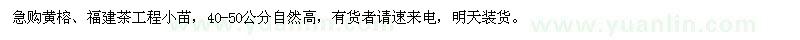 求購黃榕,福建茶