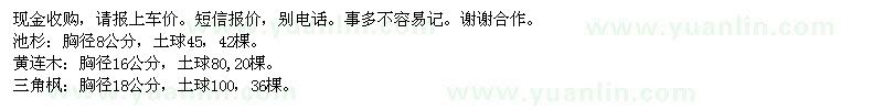 求購(gòu)池杉,黃連木,三角楓,楓楊,雞爪槭