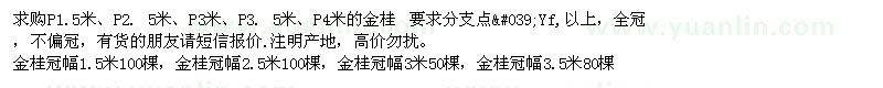 求購金桂量大