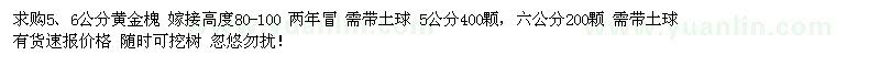 求購5、6公分黃金槐