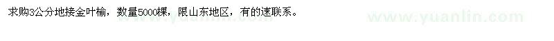 求購(gòu)3公分地接金葉榆5000棵