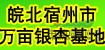 常年供應大量銀杏樹(shù)
