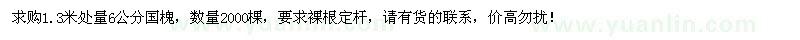 求購1.3米量6公分國槐2000棵