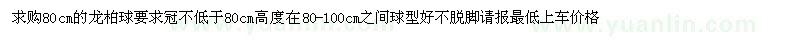 求購80cm的龍柏球