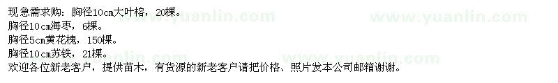 求購大葉榕、海棗、黃花槐、蘇鐵