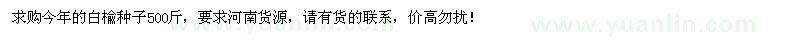 求購白楡種子500斤