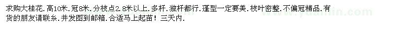 求購大桂花