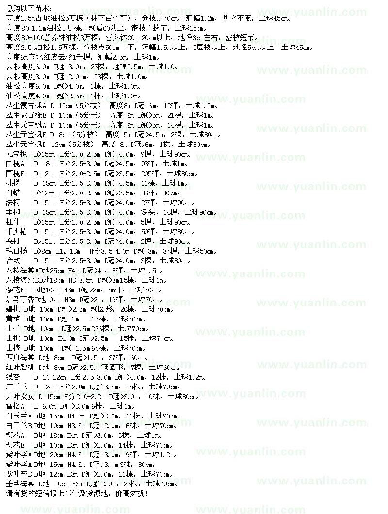 求購(gòu)油松、云杉、叢生元寶楓、國(guó)槐等苗木